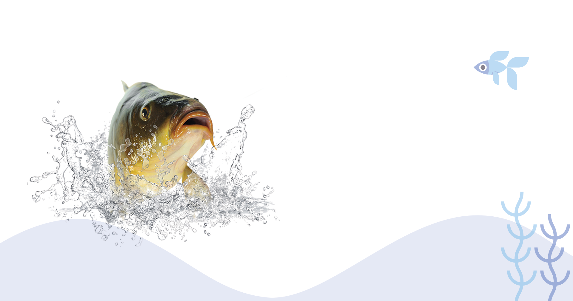 Mindful fish cultivation